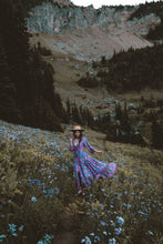 Load image into Gallery viewer, Rainier Adventure Dress
